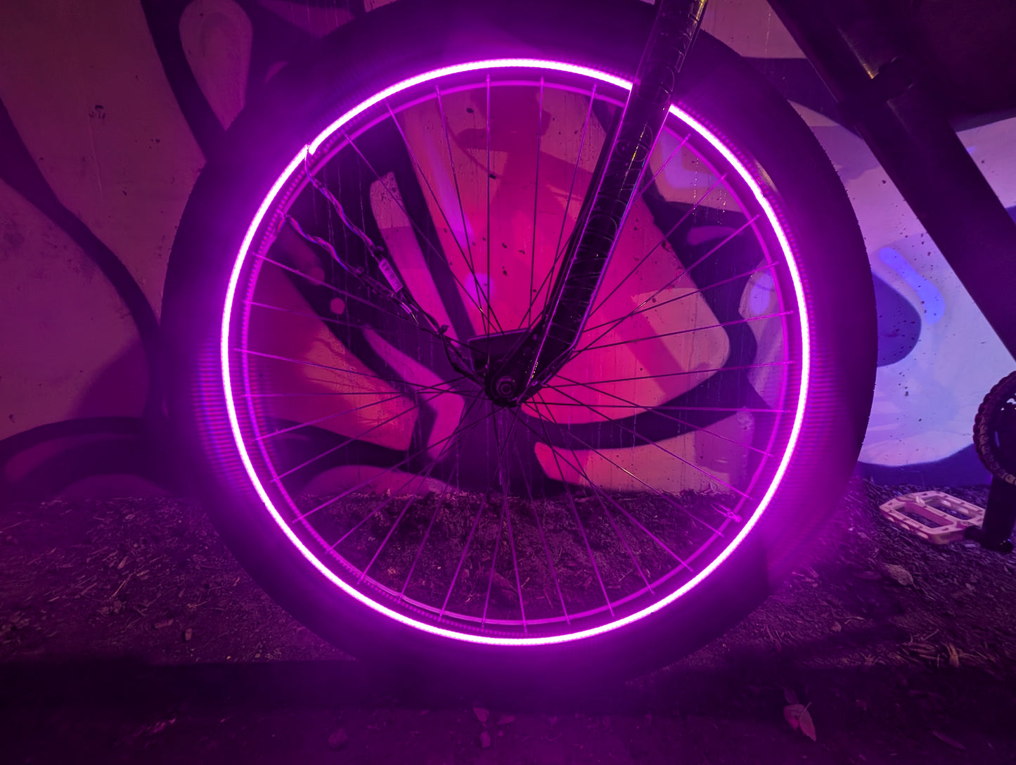 bike light purple